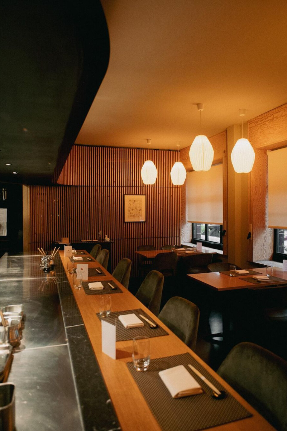 elsene-ixelles-brussel-bruxelles-brussels-hotspot-japans-japanese-restaurant-kamo-demerode